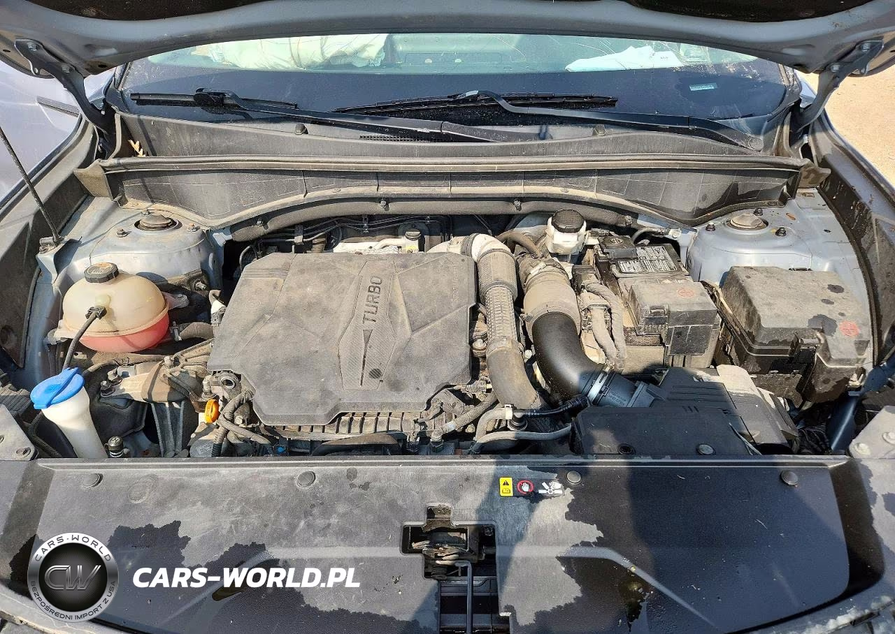 2021 Kia Sorento Sx VIN:5XYRKDLF2MG044820 - 12