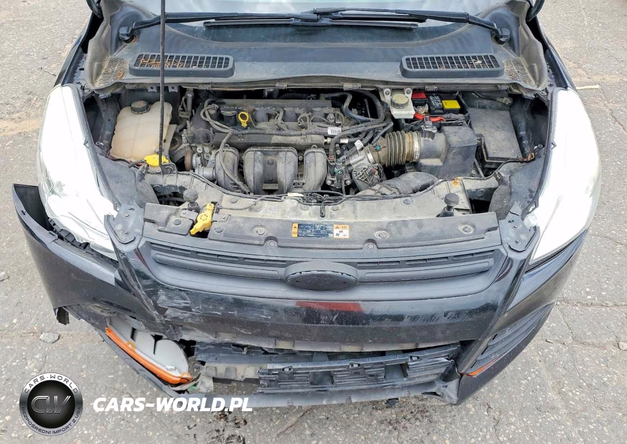 2014 Ford Escape S VIN:1FMCU0F70EUC44801 - 12