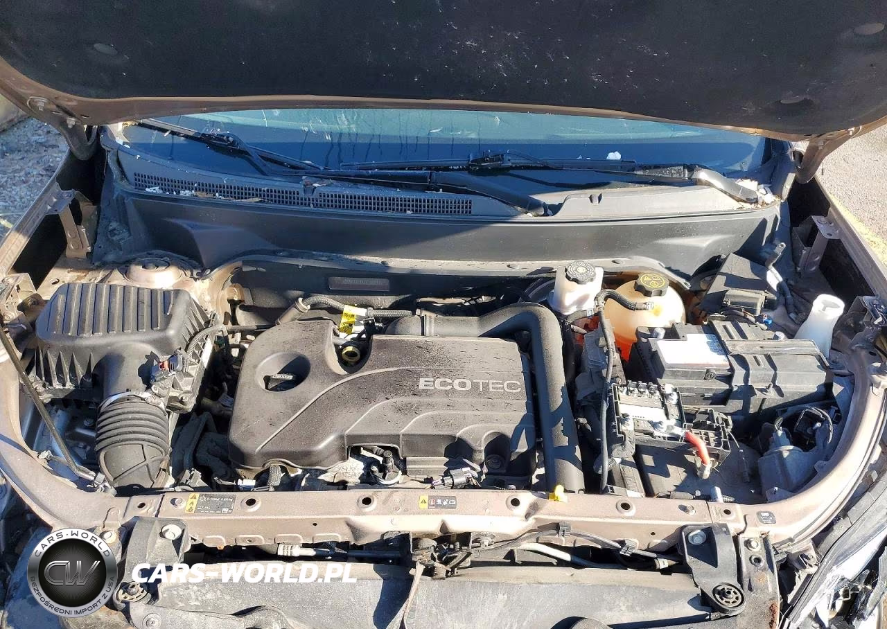 2018 Chevrolet Equinox Lt VIN:2GNAXJEV8J6308897 - 12