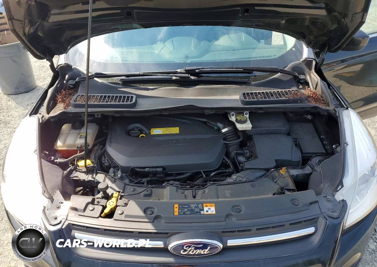 2013 Ford Escape Se VIN:1FMCU9GX8DUD10707 - 12