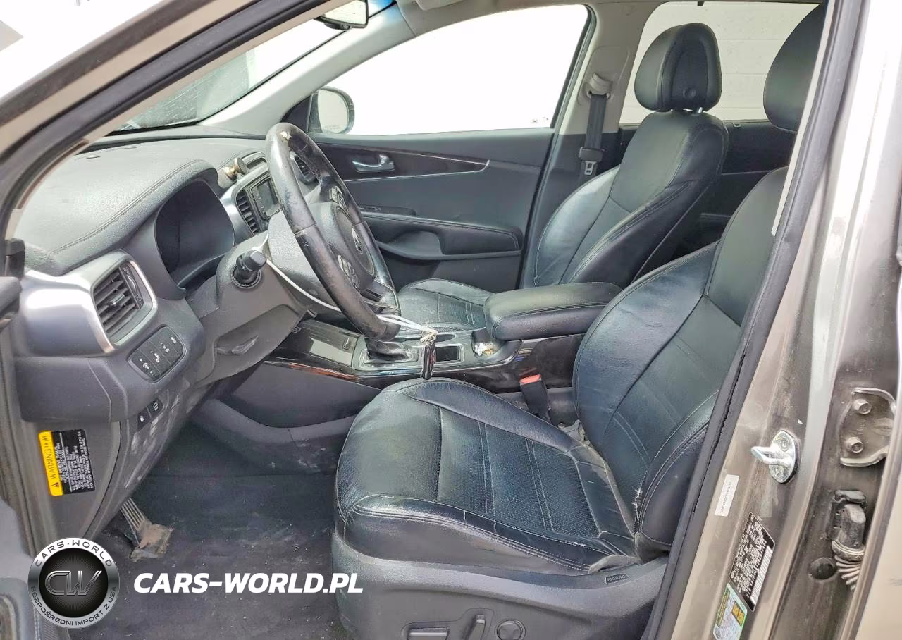 2016 Kia Sorento Ex VIN:5XYPH4A13GG047405 - 7