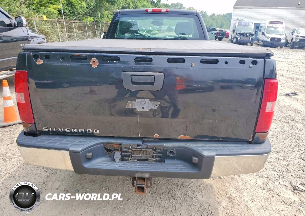 2007 Chevrolet Silverado C1500 Classic VIN:1GCEC14X37Z640056 - 10