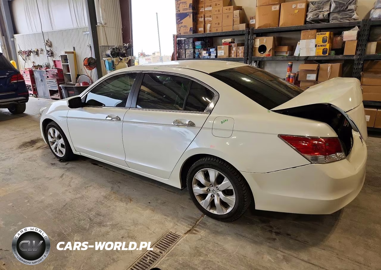 2009 Honda Accord Exl VIN:1HGCP36829A031802 - 2