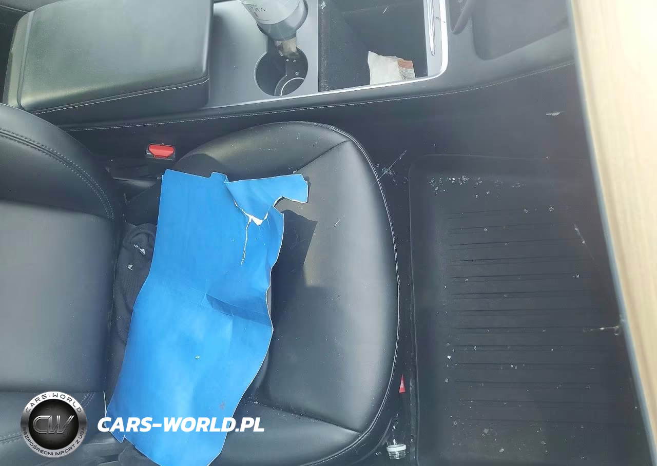 2021 Tesla Model 3 VIN:5YJ3E1EA1MF082673 - 9