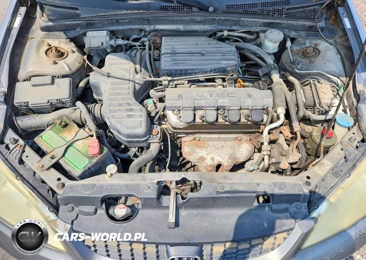 2004 Honda Civic Ex VIN:1HGEM22994L054503 - 11