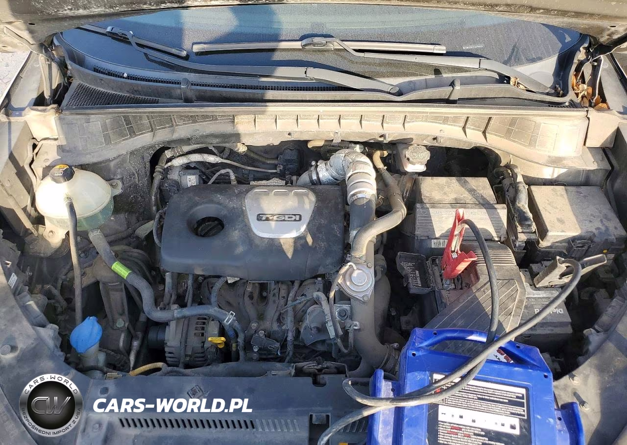 2018 Hyundai Tucson Limited VIN:KM8J33A22JU789934 - 11