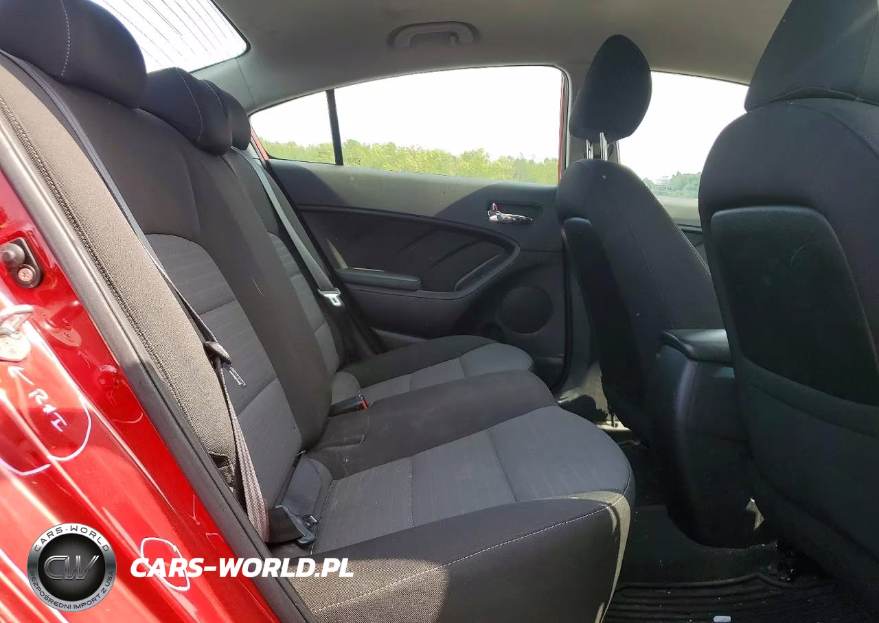 2017 Kia Forte S VIN:3KPFL4A7XHE120976 - 10