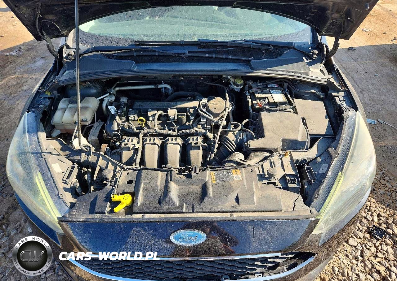 2015 Ford Focus Se VIN:1FADP3F25FL340166 - 11