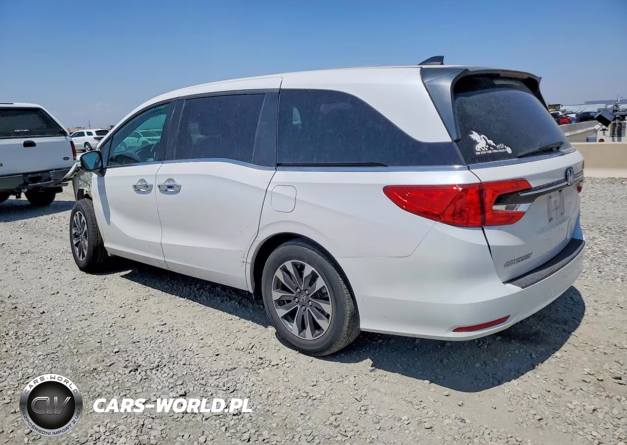 2024 Honda Odyssey Exl VIN:5FNRL6H61RB056456 - 2