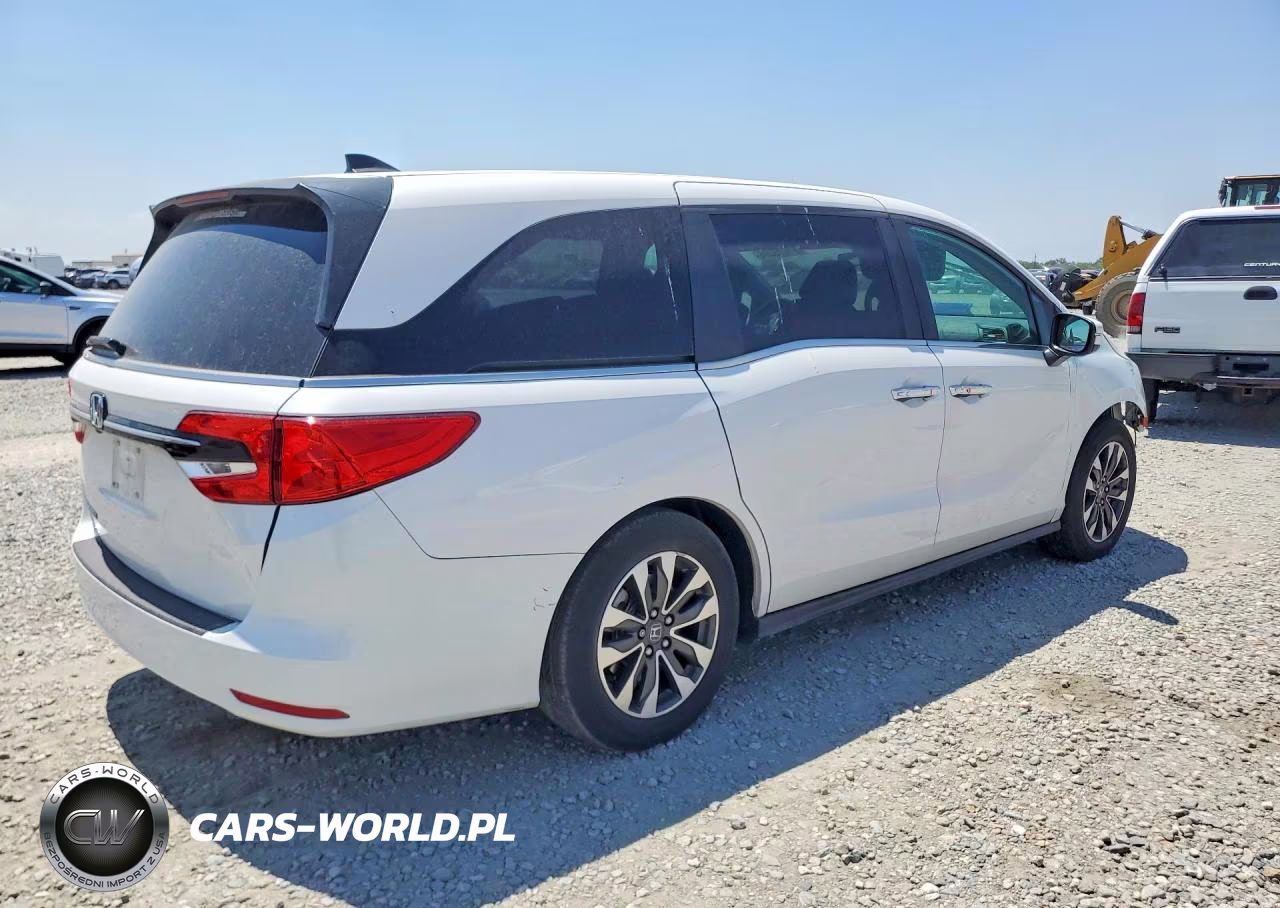 2024 Honda Odyssey Exl VIN:5FNRL6H61RB056456 - 3