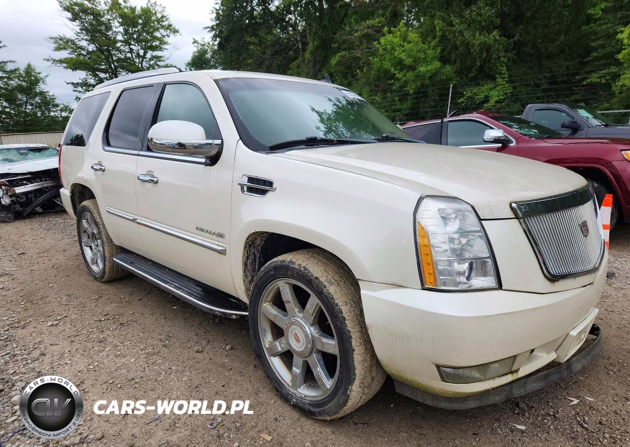 2011 Cadillac Escalade Luxury VIN:1GYS4BEF1BR219726 - 4