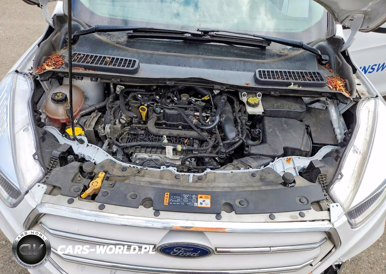 2019 Ford Escape Se VIN:1FMCU9GD9KUA06529 - 12