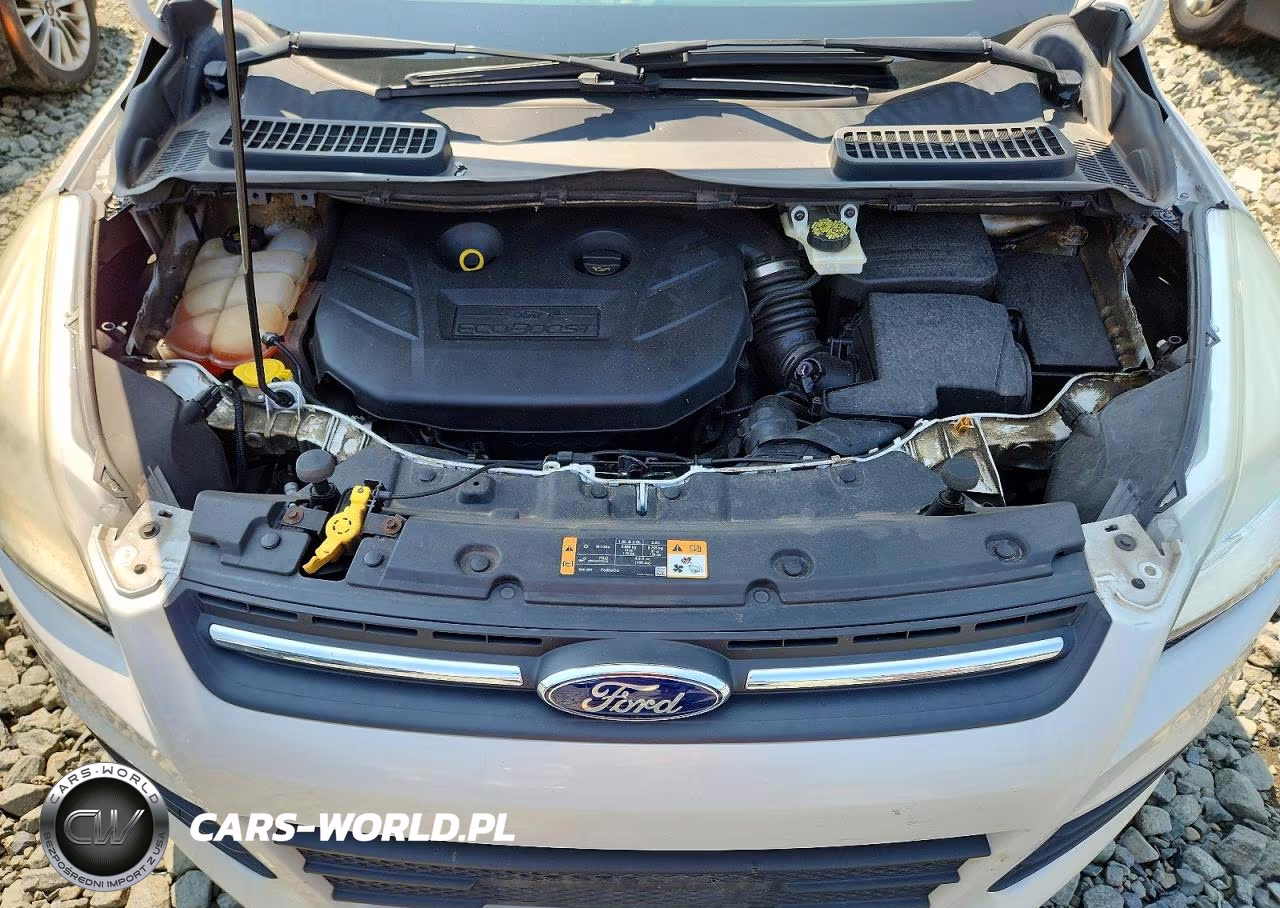2014 Ford Escape Se VIN:1FMCU9G90EUA88795 - 12