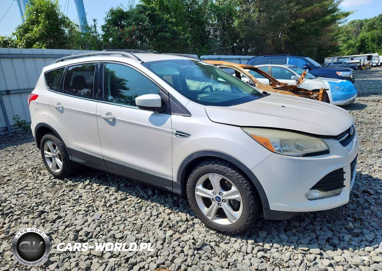 2014 Ford Escape Se VIN:1FMCU9G90EUA88795 - 4