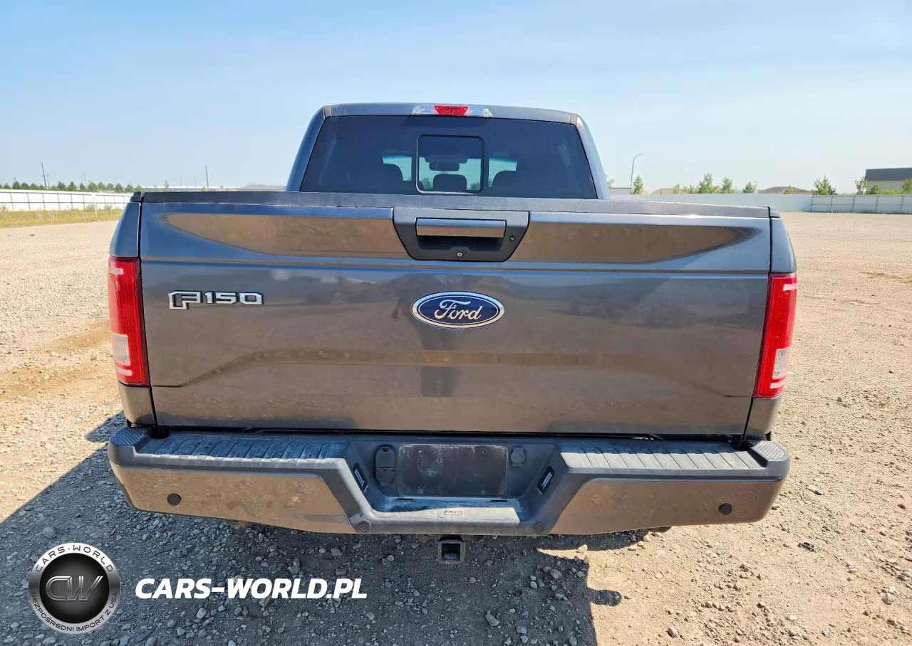 2017 Ford F150 Supercrew VIN:1FTEW1EPXHFC90112 - 6
