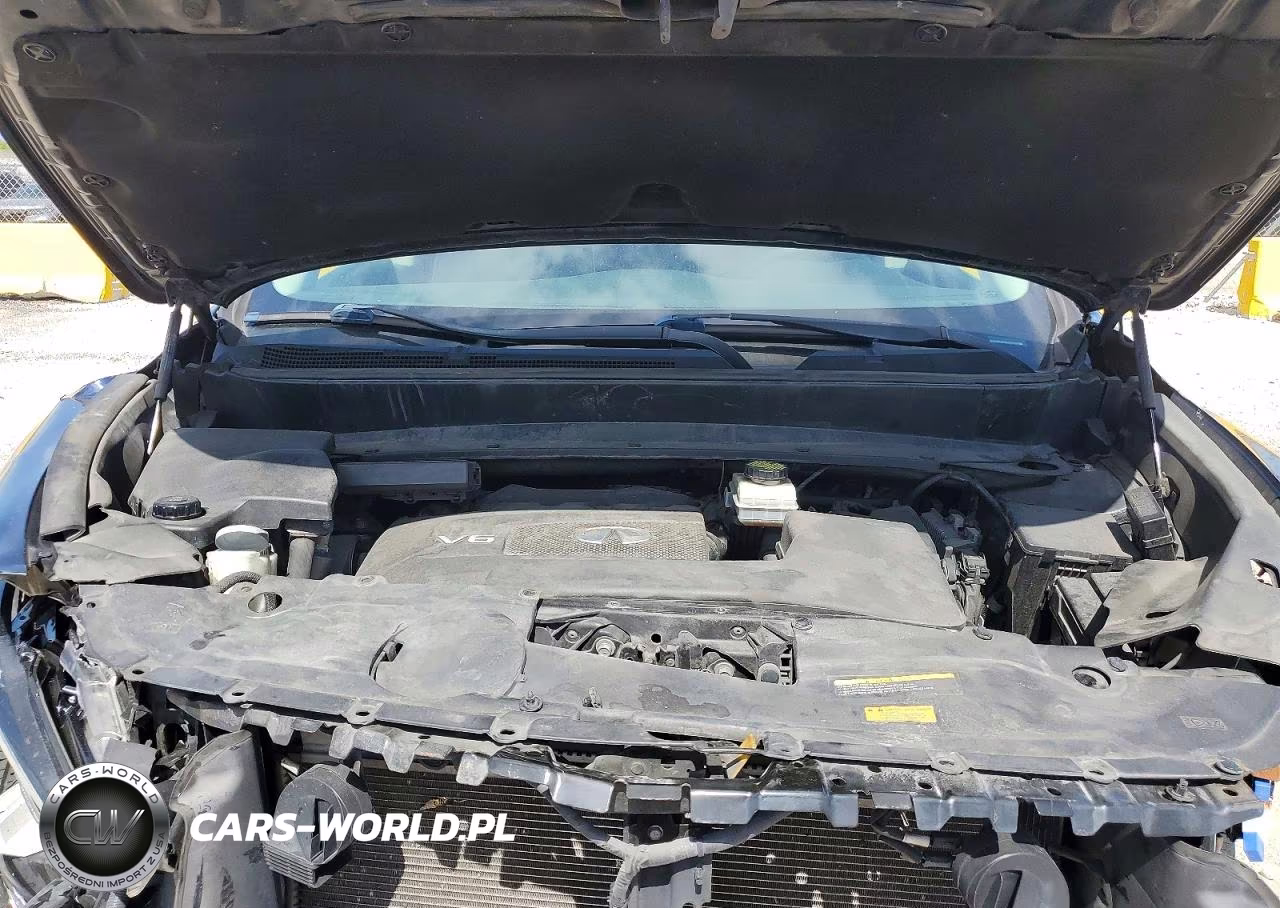 2019 Infiniti Qx60 Pure VIN:5N1DL0MN3KC534184 - 11