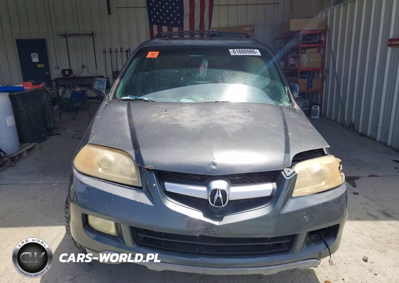 2006 Acura Mdx Touring VIN:2HNYD18886H545398 - 5