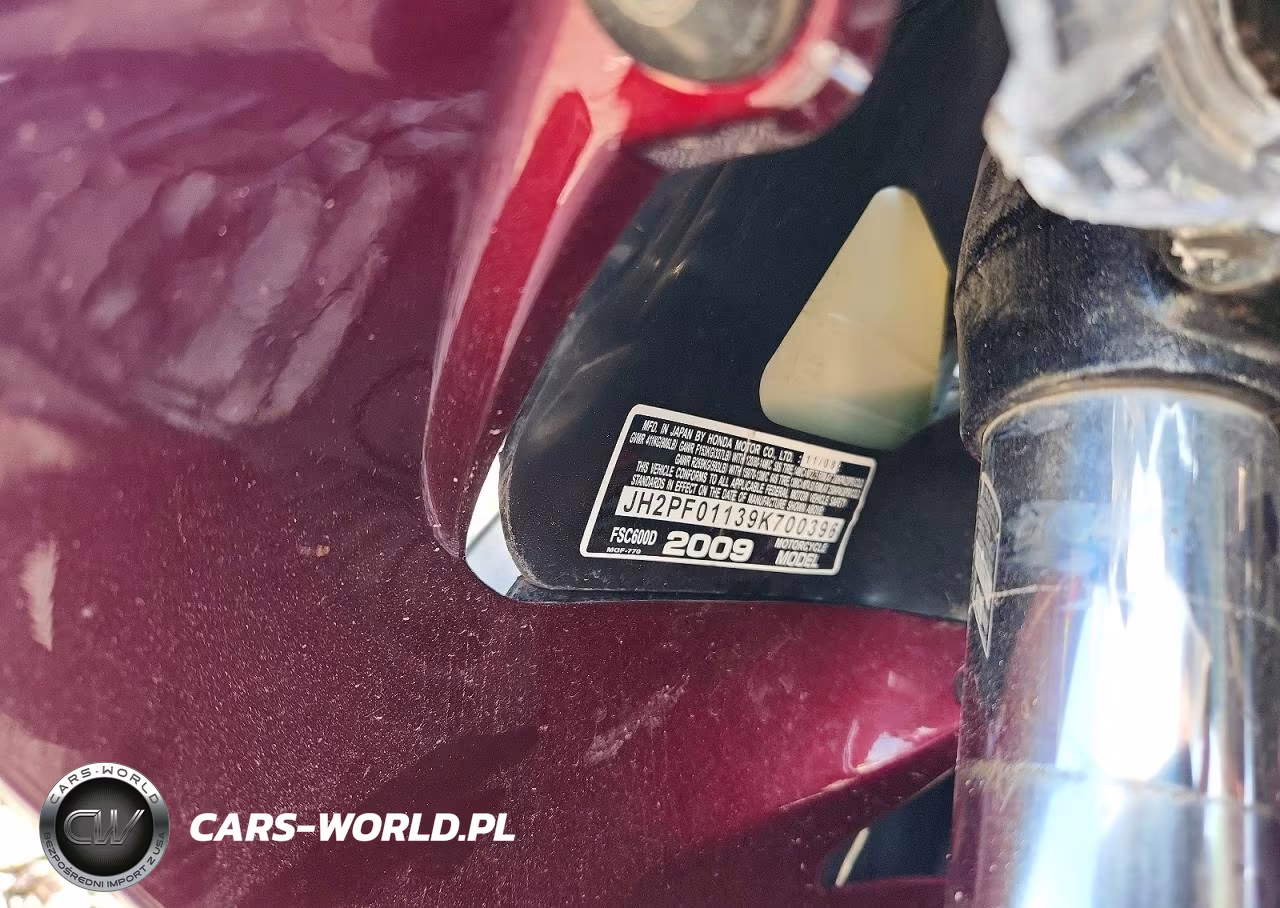 2009 Honda Fsc600 D VIN:JH2PF01139K700396 - 8