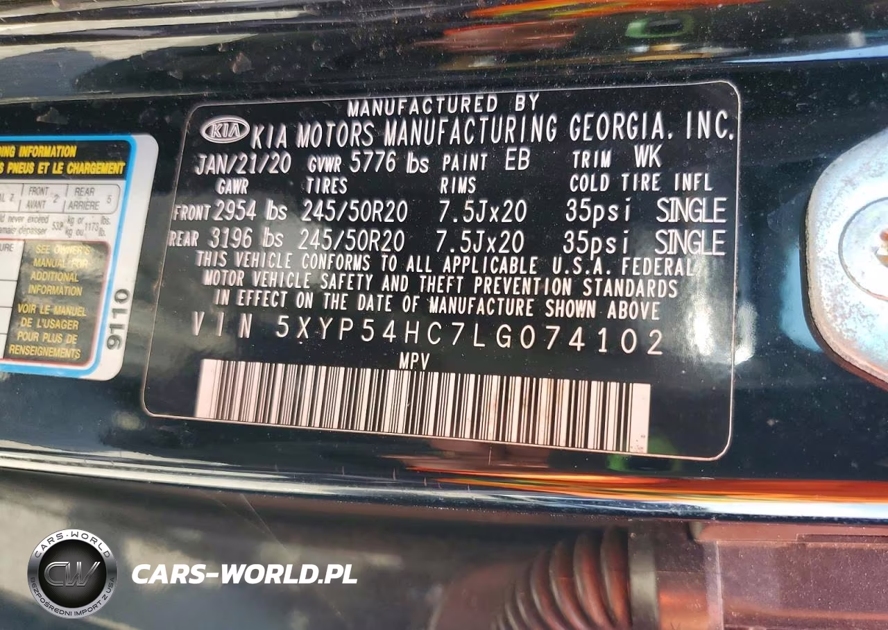 2020 Kia Telluride Sx VIN:5XYP54HC7LG074102 - 13