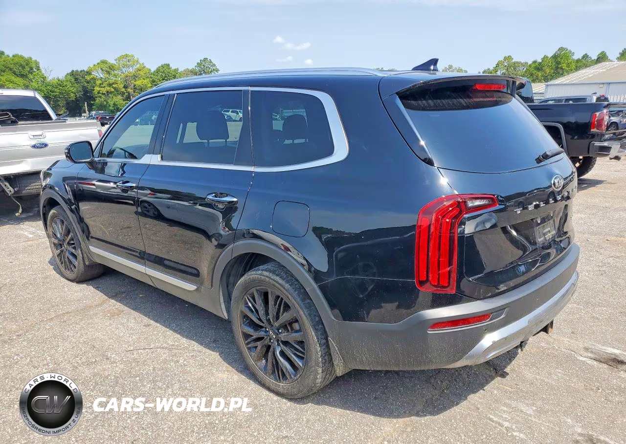 2020 Kia Telluride Sx VIN:5XYP54HC7LG074102 - 2
