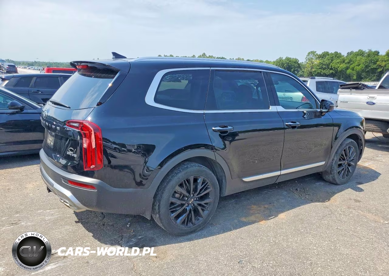2020 Kia Telluride Sx VIN:5XYP54HC7LG074102 - 3