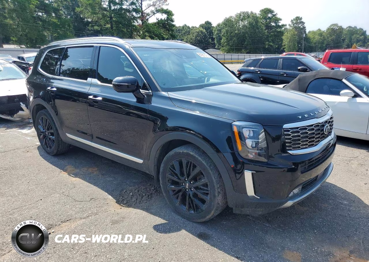 2020 Kia Telluride Sx VIN:5XYP54HC7LG074102 - 4
