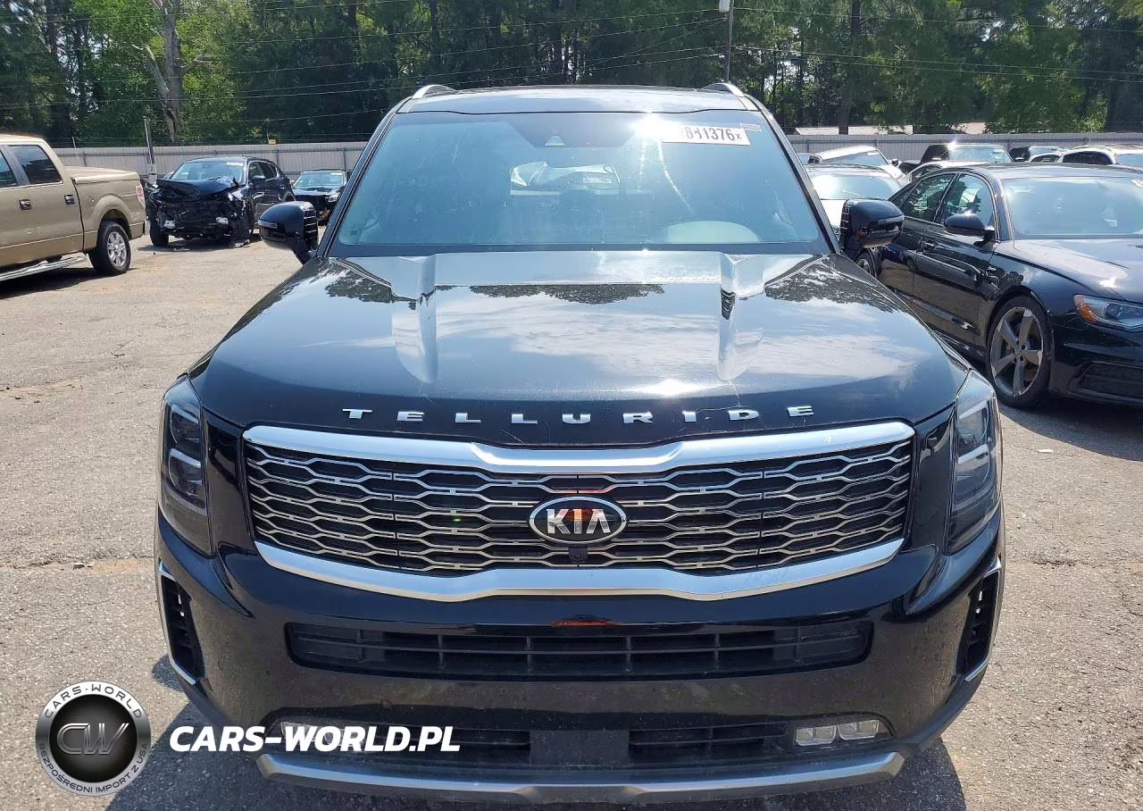 2020 Kia Telluride Sx VIN:5XYP54HC7LG074102 - 5