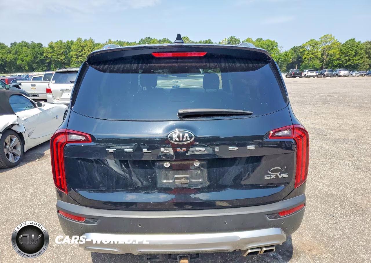 2020 Kia Telluride Sx VIN:5XYP54HC7LG074102 - 6