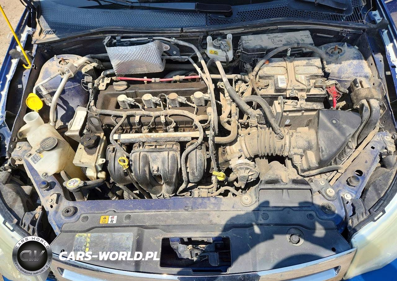2009 Ford Focus Ses VIN:1FAHP36N99W221034 - 11