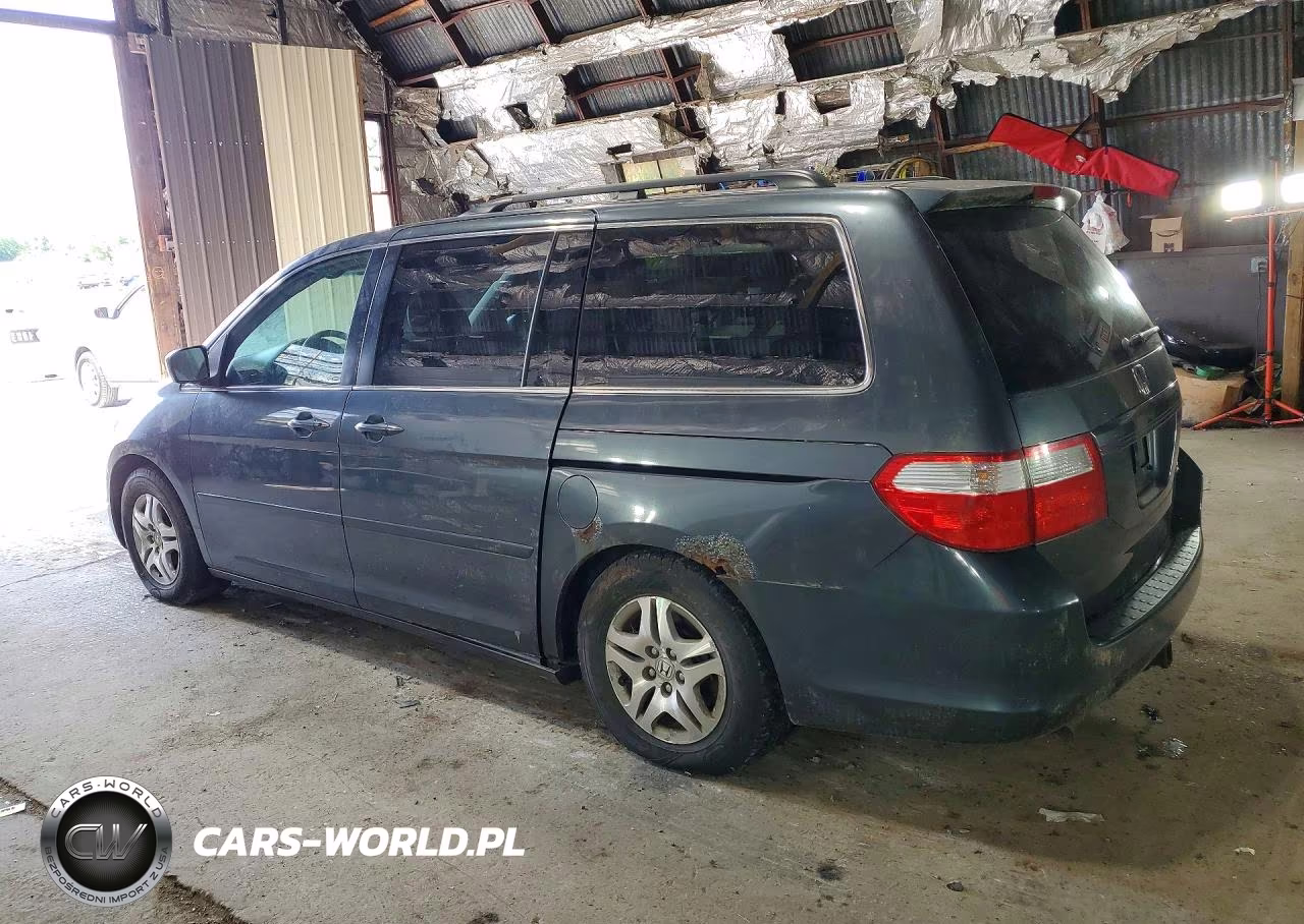 2005 Honda Odyssey Exl VIN:5FNRL38795B091697 - 2
