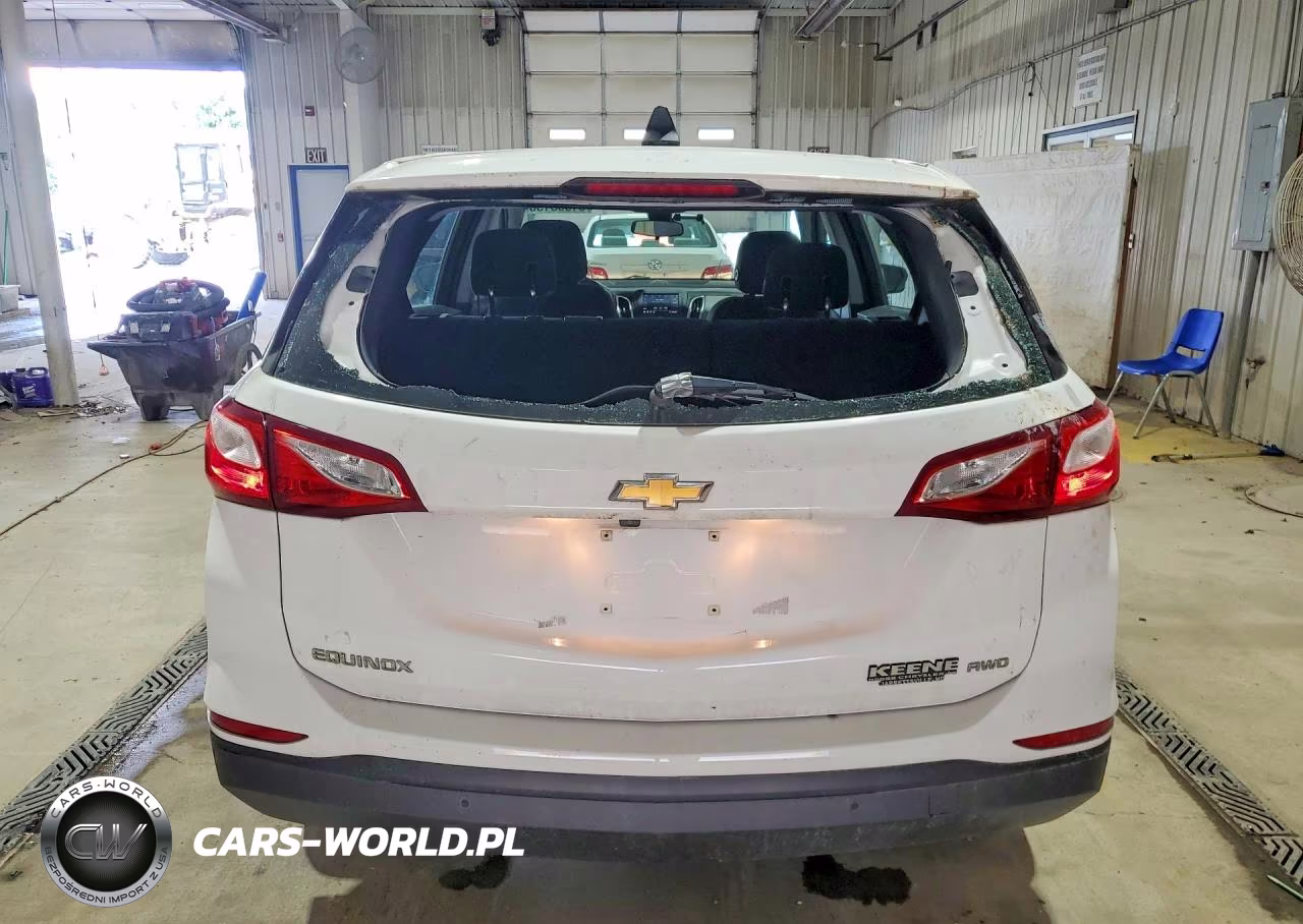 2020 Chevrolet Equinox VIN:3GNAX5EV4LS688963 - 6