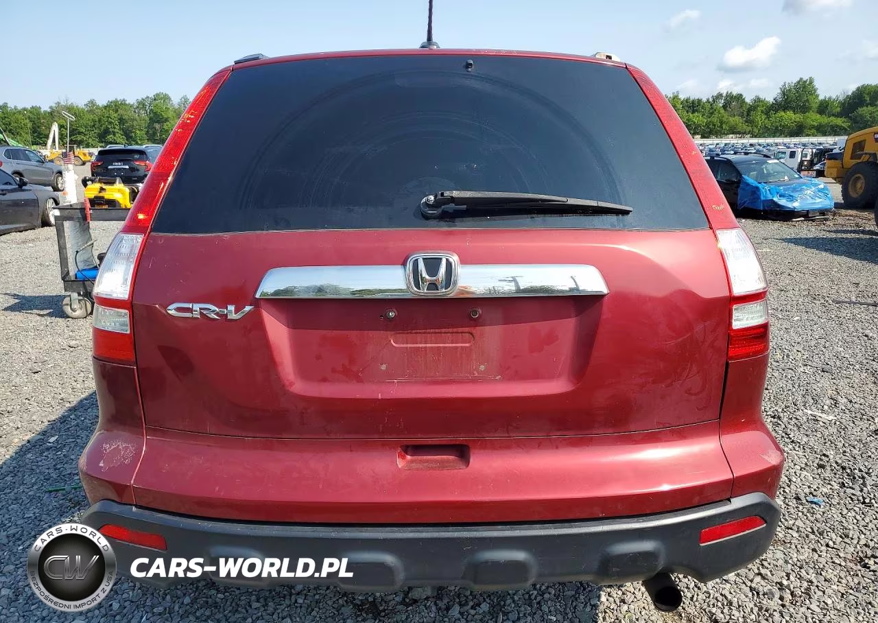 2009 Honda Cr-V Exl VIN:5J6RE487X9L037841 - 6