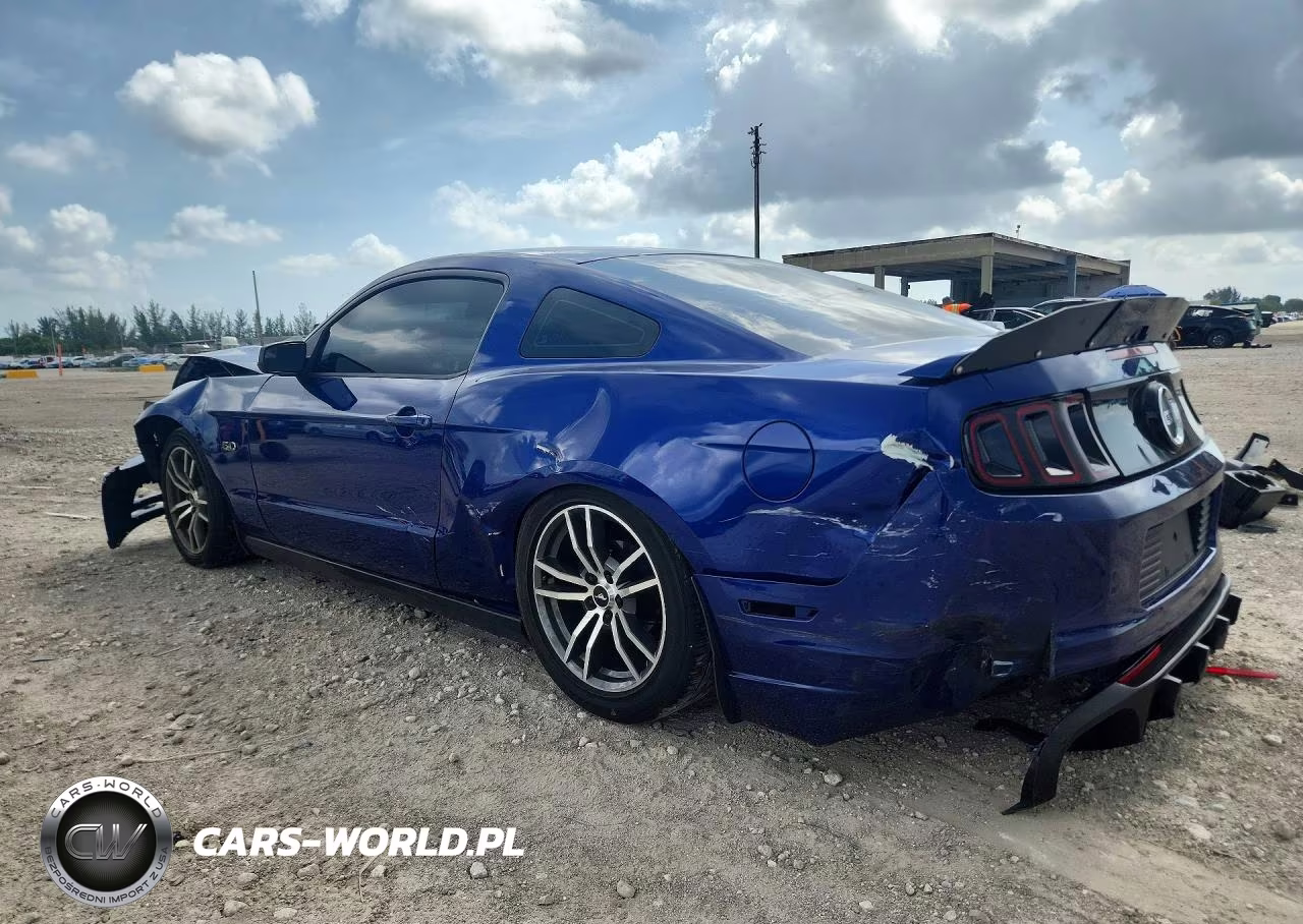 2014 Ford Mustang Gt VIN:1ZVBP8CF5E5259917 - 2