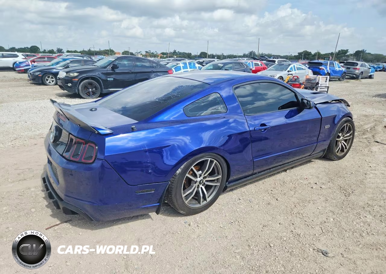 2014 Ford Mustang Gt VIN:1ZVBP8CF5E5259917 - 3