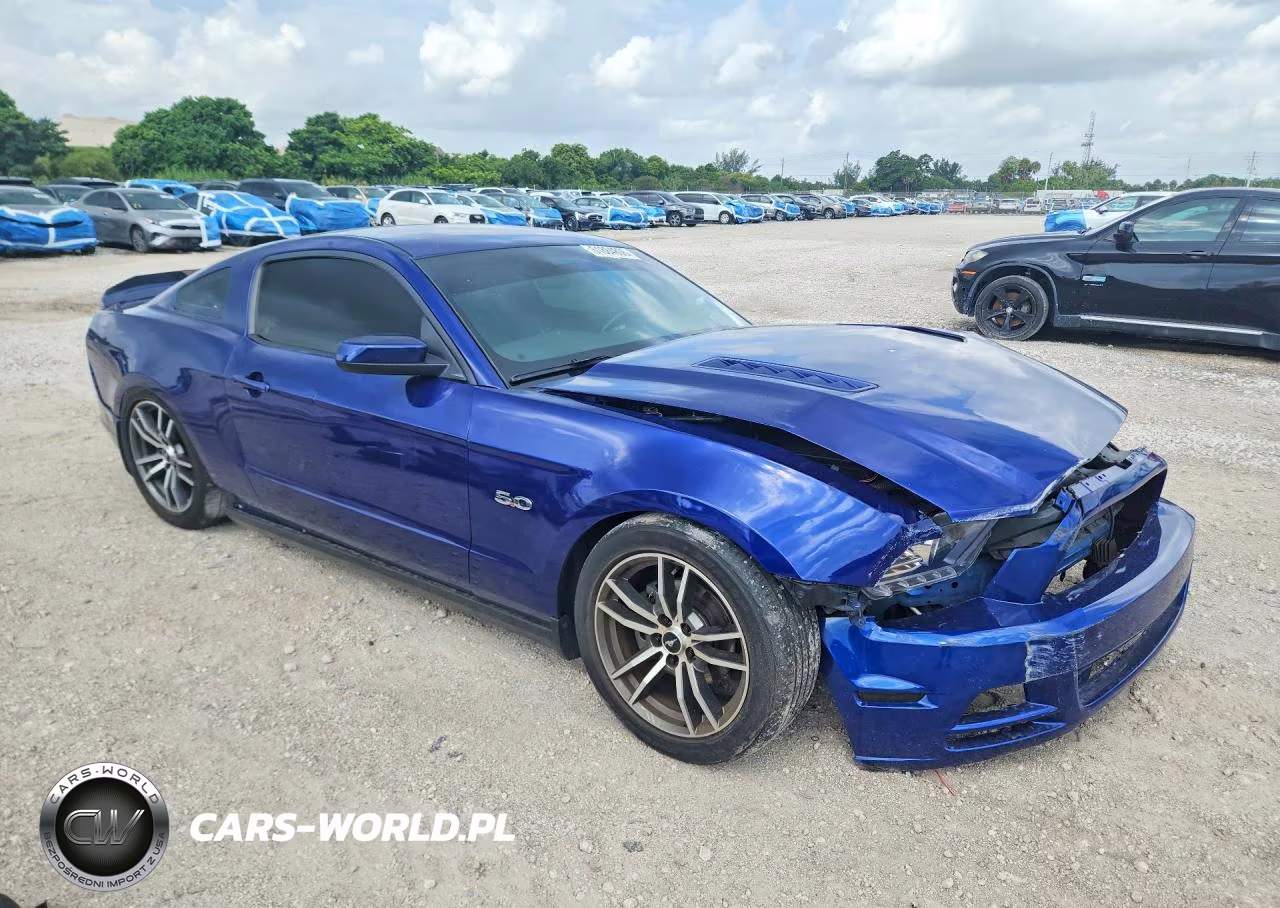 2014 Ford Mustang Gt VIN:1ZVBP8CF5E5259917 - 4