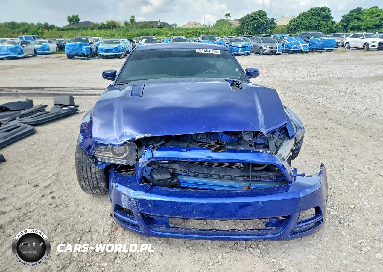2014 Ford Mustang Gt VIN:1ZVBP8CF5E5259917 - 5