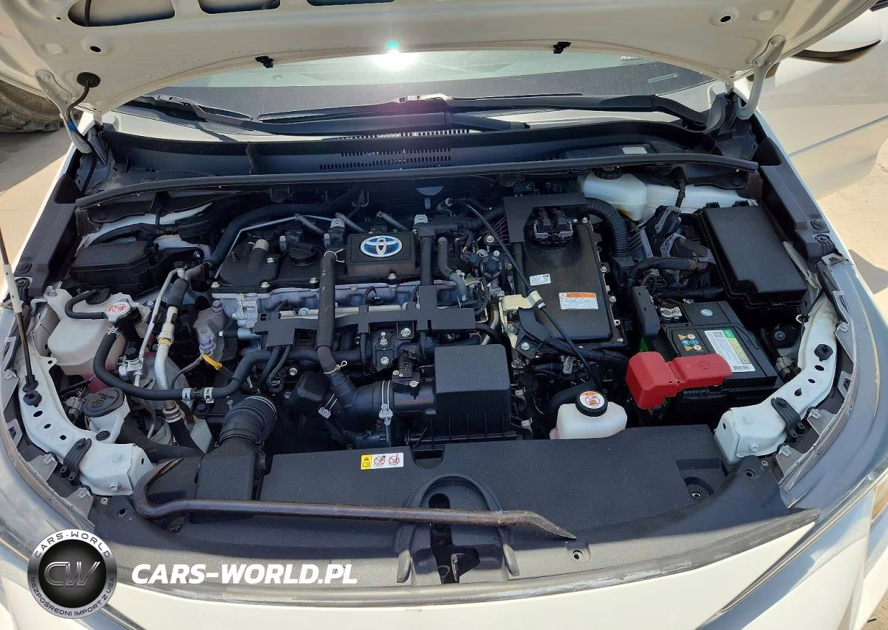 2021 Toyota Corolla Le VIN:JTDEAMDE8MJ005057 - 11