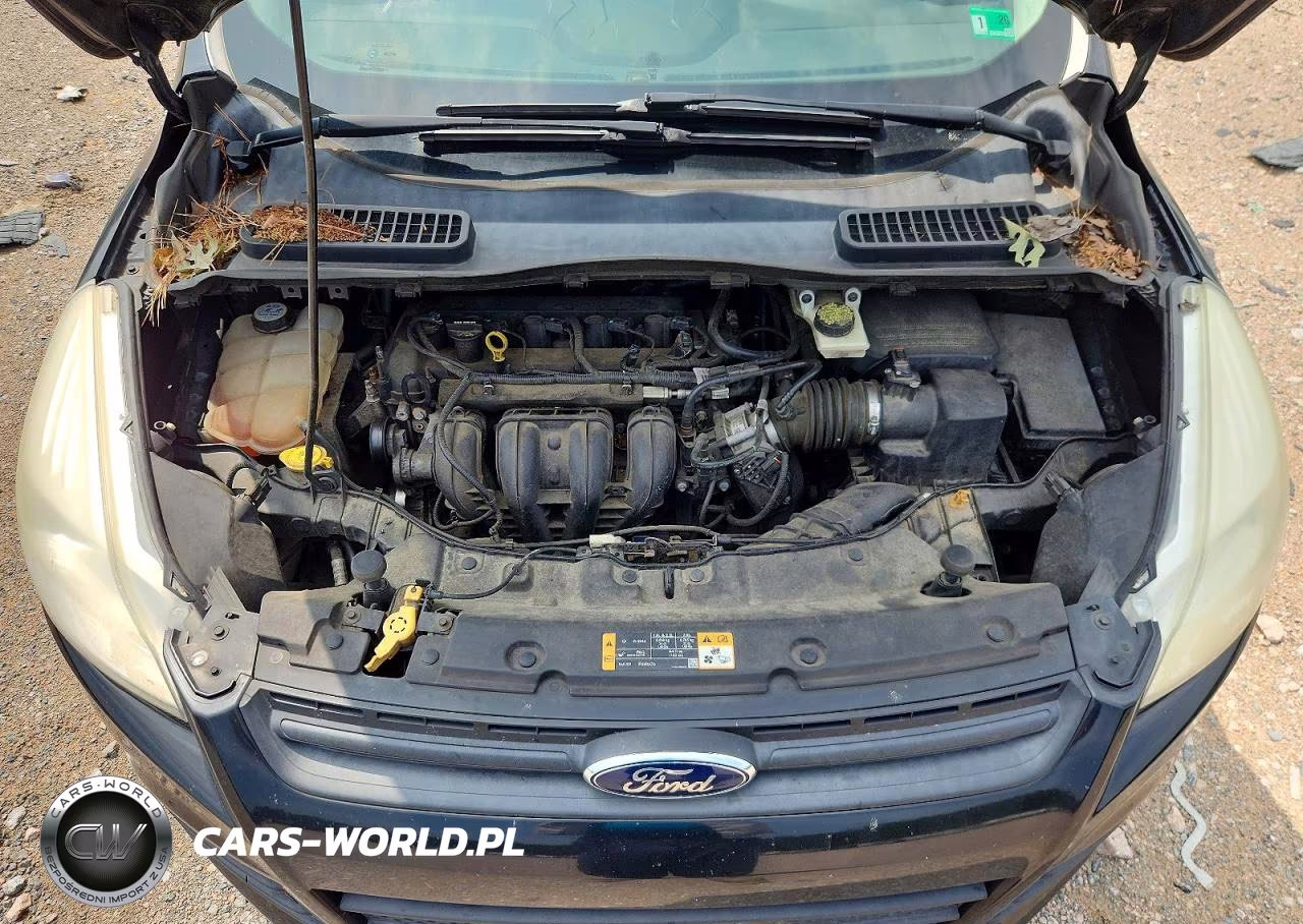 2013 Ford Escape S VIN:1FMCU0F74DUA97221 - 12