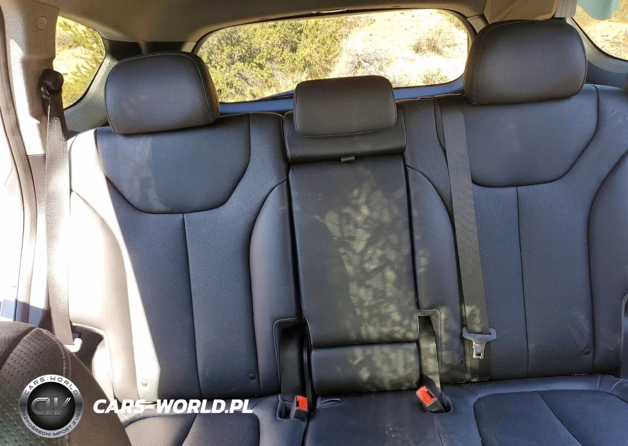 2019 Hyundai Santa Fe Ultimate 2.0T VIN:5NMS5CAA2KH042031 - 10