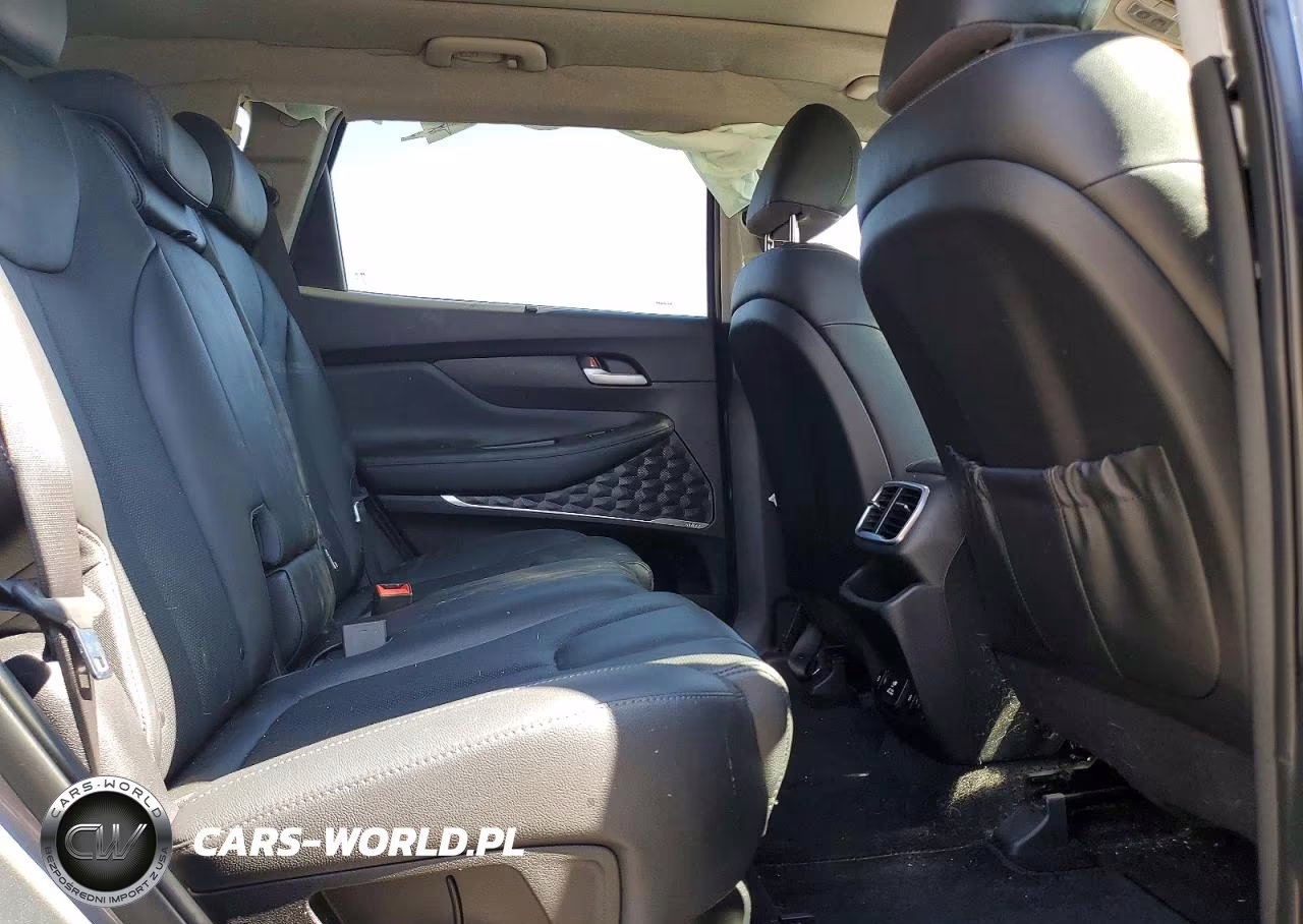 2019 Hyundai Santa Fe Ultimate 2.0T VIN:5NMS5CAA2KH042031 - 11