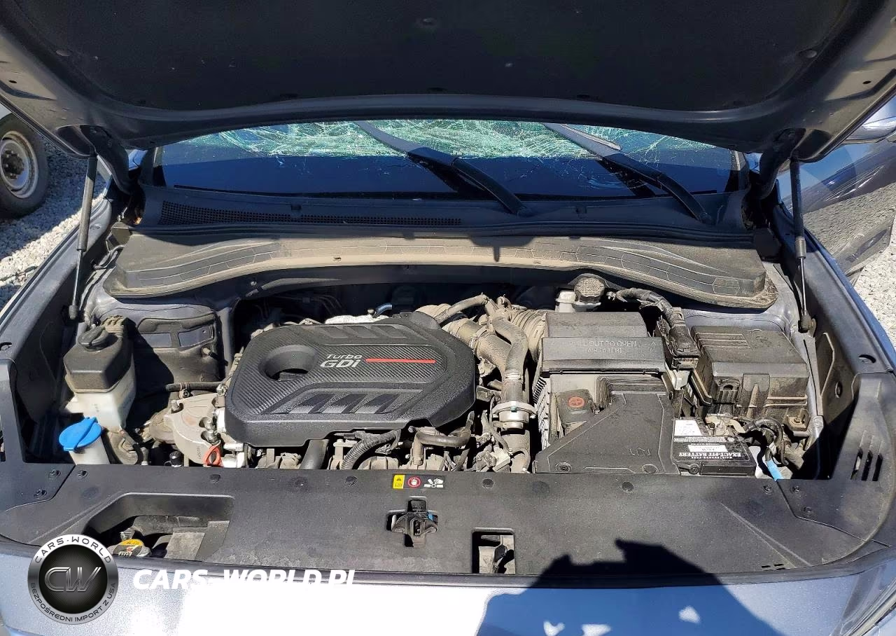2019 Hyundai Santa Fe Ultimate 2.0T VIN:5NMS5CAA2KH042031 - 12