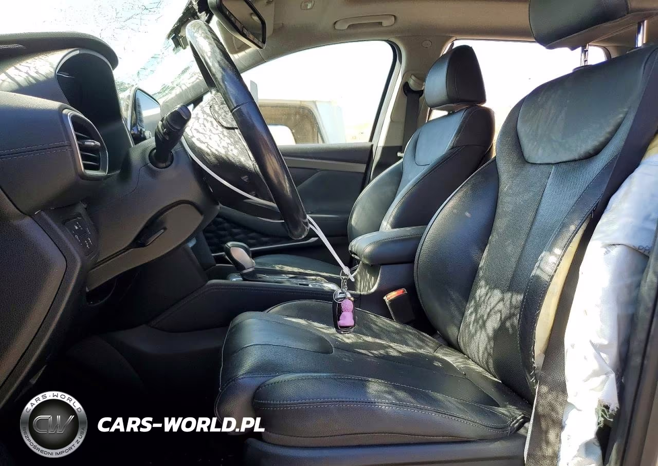 2019 Hyundai Santa Fe Ultimate 2.0T VIN:5NMS5CAA2KH042031 - 7