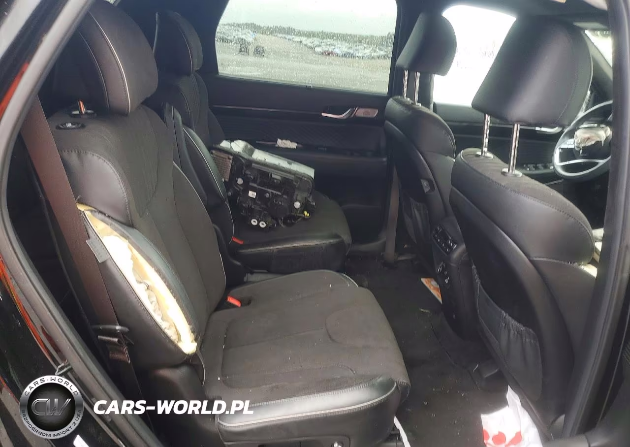 2025 Hyundai Palisade Calligraphy Night Edition VIN:KM8R7DGE7SU820532 - 11