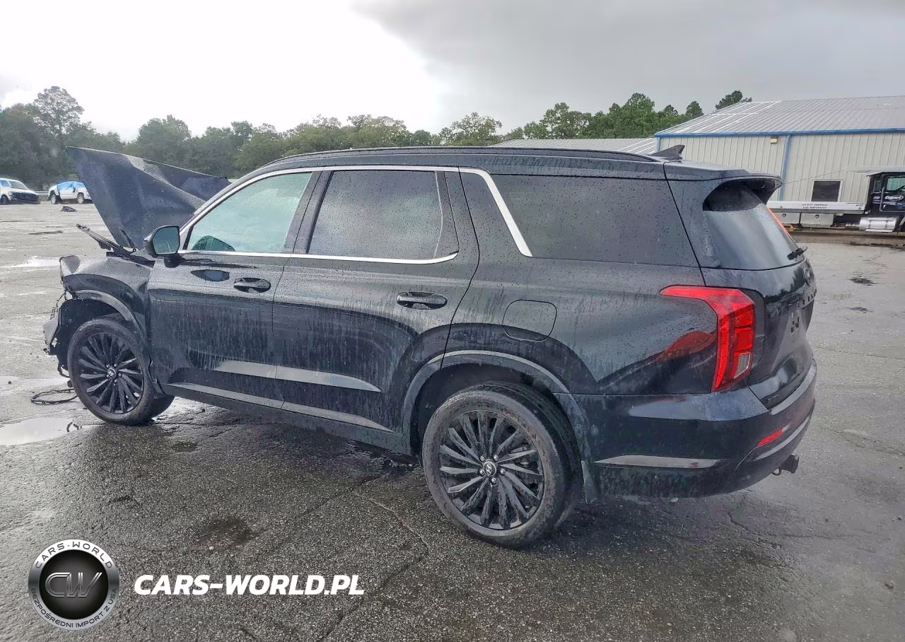 2025 Hyundai Palisade Calligraphy Night Edition VIN:KM8R7DGE7SU820532 - 2