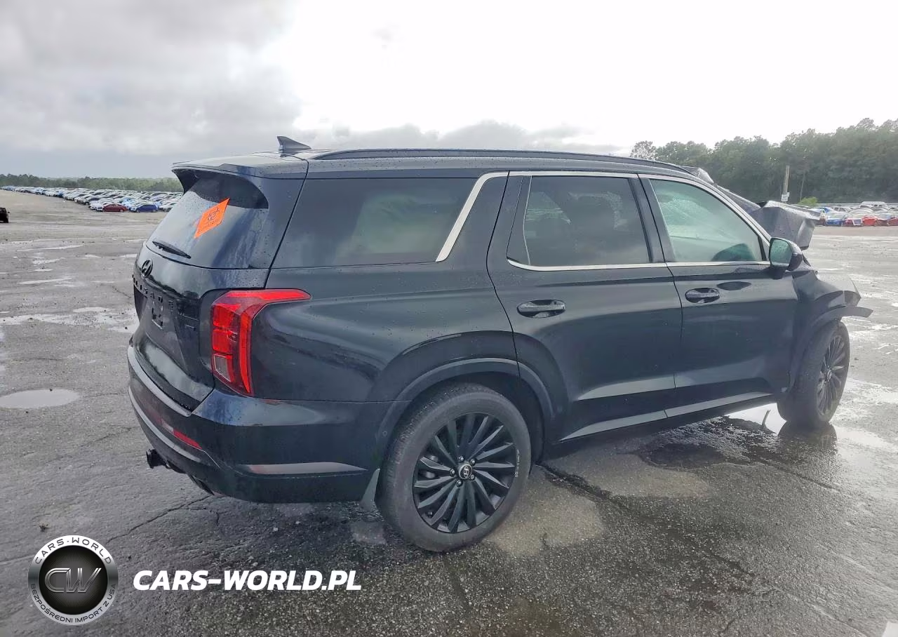 2025 Hyundai Palisade Calligraphy Night Edition VIN:KM8R7DGE7SU820532 - 3