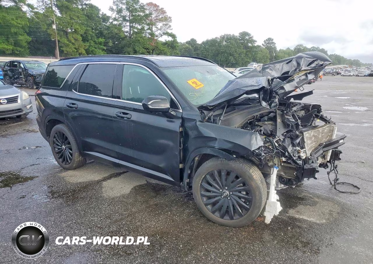 2025 Hyundai Palisade Calligraphy Night Edition VIN:KM8R7DGE7SU820532 - 4