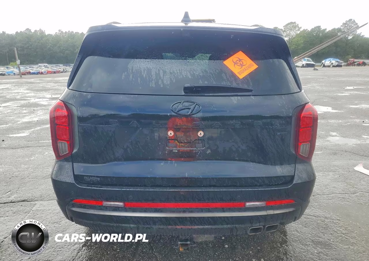 2025 Hyundai Palisade Calligraphy Night Edition VIN:KM8R7DGE7SU820532 - 6