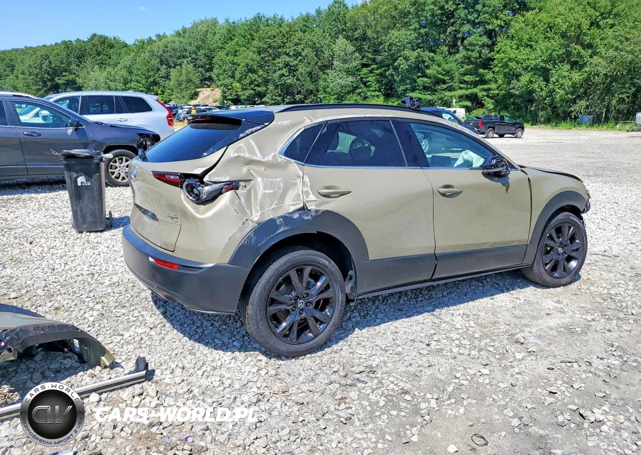 2025 Mazda Cx-30 Carbon Turbo VIN:3MVDMBXY4SM762128 - 3