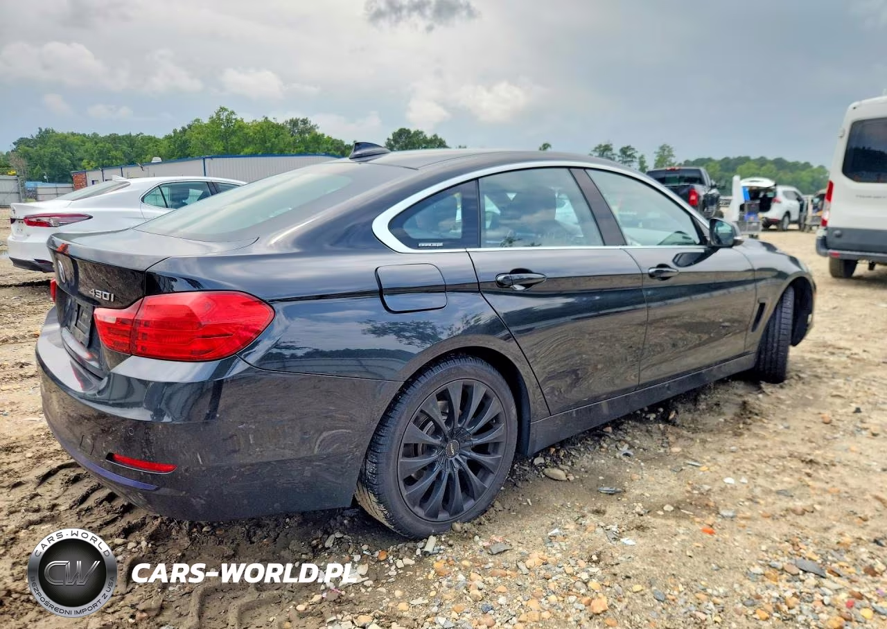 2017 BMW 430Xi Gran Coupe VIN:WBA4F9C58HG811962 - 3