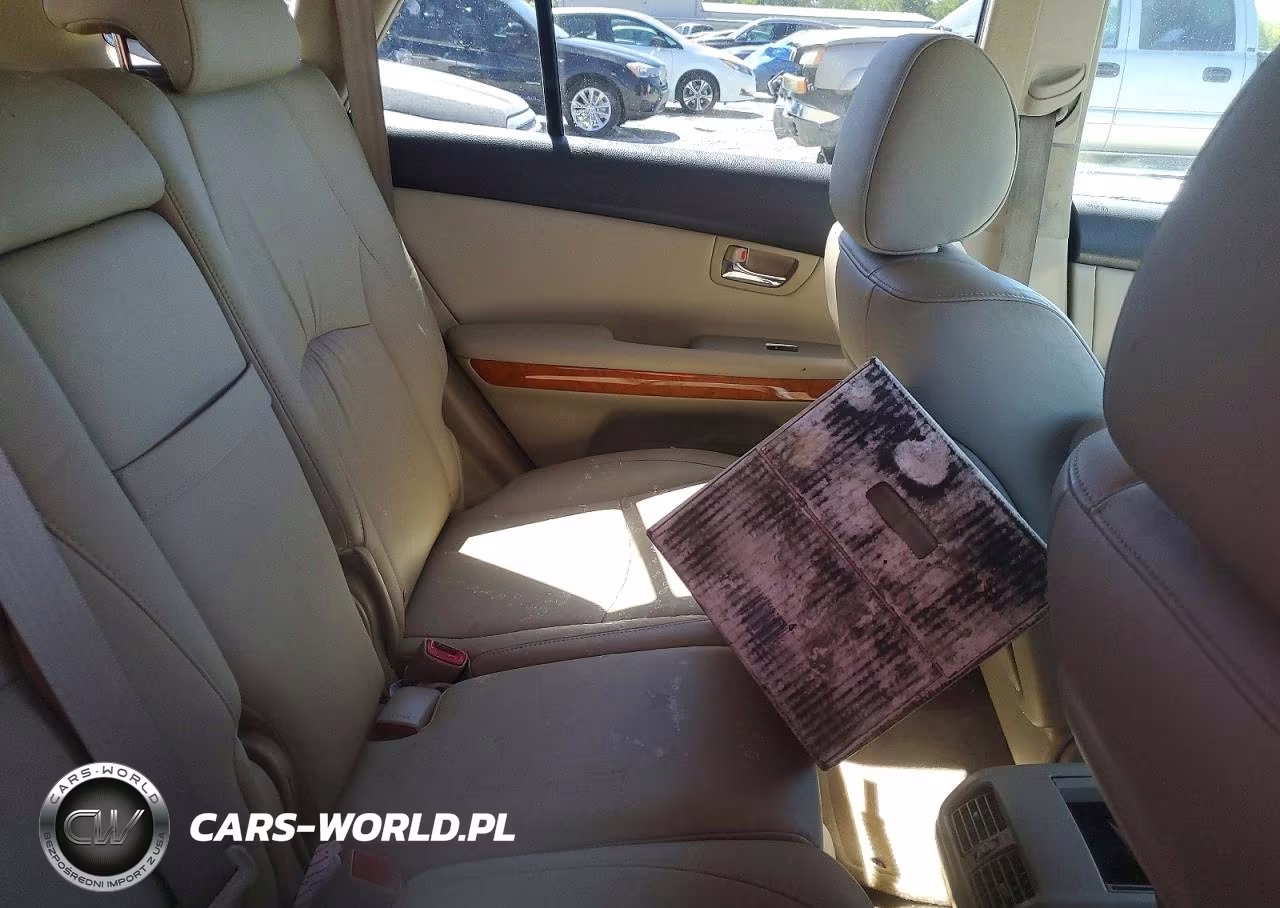 2006 Lexus Rx 400 VIN:JTJGW31U462000609 - 11